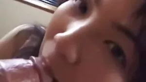 بیبی Fride بش بس