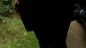 SubSlut نیلسن اے ٹی ایم فل مقعد تجربہ