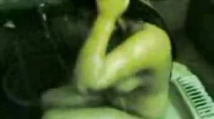 لسی لی